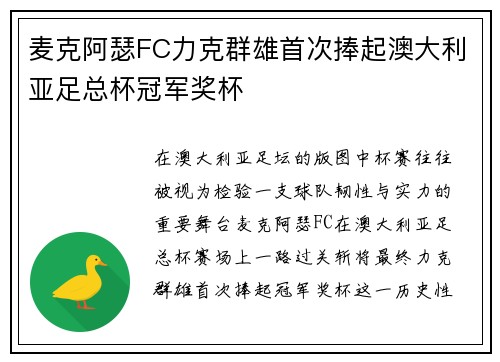 麦克阿瑟FC力克群雄首次捧起澳大利亚足总杯冠军奖杯 麦克阿瑟FC力克群雄首次捧起澳大利亚足总杯冠军奖杯
